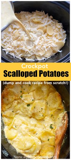 cheesy scalloped potatoes in a creamy sauce with mustard Best Crockpot Scalloped Potatoes, Augratin Potatoes Recipe Crockpot, Slow Cooker Scalloped Potatoes No Cheese, Crockpot Cheesy Potatoes Hashbrowns, Crock Pot Scalloped Potatoes Slow Cooker, Slow Cooker Scalloped Potatoes Easy, Crockpot Side Recipes, Crockpot Veggies Side, Crock Pot Ham And Potatoes