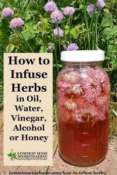 Herbs In Oil, Flavored Vinegars, Magia Das Ervas, Herbal Tinctures, Herbal Recipes, Herbal Apothecary, Natural Healing Remedies, Herbal Healing, Cooking Oils