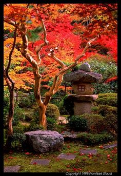 Garden of Enkoji temple, Kyoto, Japan After seeing 47 Ronin, Japan is definitely on my  list Blessed Pictures, Japan Garden, Japanese Garden Design, Asian Garden, Kew Gardens, On The Ground, Zen Garden, Shade Garden, Fall Foliage