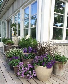 several potted plants sitting on a porch next to a window with an arrow painted on it