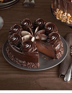 a chocolate cake on a plate with two slices cut out and ready to be eaten