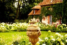 a garden with white and yellow flowers in front of an old brick building surrounded by greenery