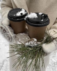 two cups of coffee sitting in the snow with pine needles on their sleeves and hands