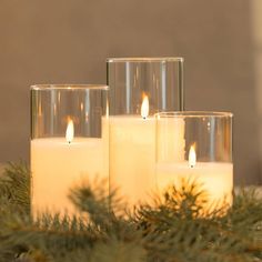 three lit candles sitting on top of a table next to evergreen branches and pine cones