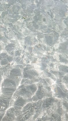 a bird is standing in shallow water on the beach