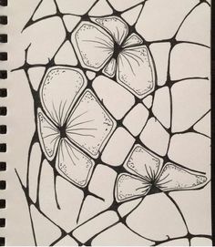 a black and white drawing of a spiderweave with lots of dots on it