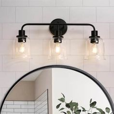 a bathroom mirror with two lights above it and a potted plant on the counter