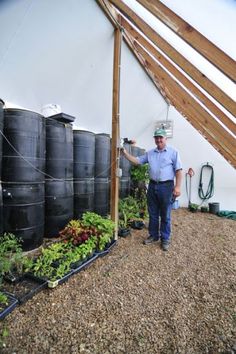 a man standing in front of a row of black barrels filled with plants and water