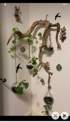 a tree branch hanging from the ceiling with plants and birds on it's branches