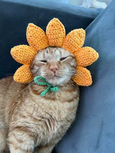 a cat wearing a crocheted sunflower hat