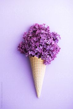 an ice cream cone filled with purple flowers on a purple background by julia radwig for stockstation