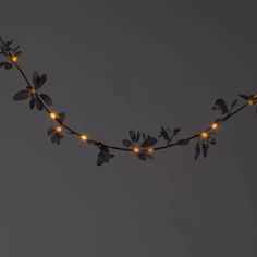 a string of lights that have flowers on them