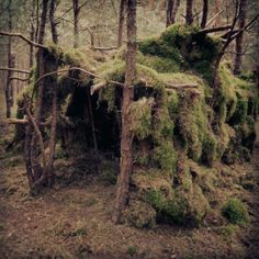 moss covered structure in the middle of a forest with no leaves on it, surrounded by trees