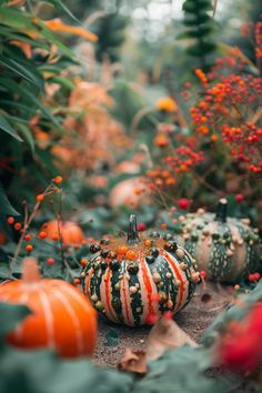 This pin showcases 5 creative and beautiful ideas for decorated gourds that will elevate your autumn home decor using DIY crafting. It uses 1 image.