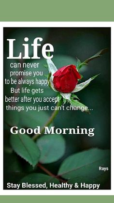 If you are looking for the latestbest good morning wishes in 2020 don't worry here are 155good morning messages to send your familyfriendsand loved ones Month Inspiration, Inspirational Good Morning Messages, Life Gets Better, Good Morning Sweetheart Quotes, Good Morning Spiritual Quotes