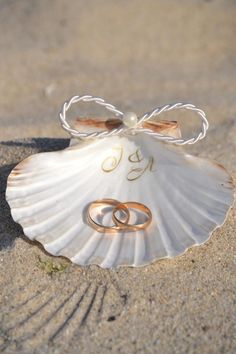 two wedding rings in a shell on the beach