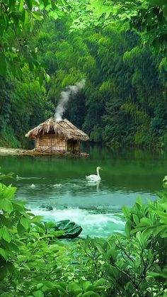 a small hut sitting in the middle of a lake surrounded by green trees and foliage