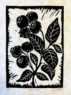 a black and white drawing of a plant with leaves