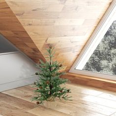 a small pine tree in a wooden vase on the floor next to a window with a skylight