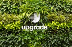 the logo for upgrade is displayed on top of a wall of green plants and foliage