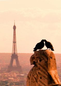 two birds sitting on top of a stone statue in front of the eiffel tower