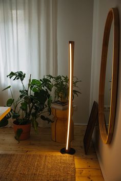 a floor lamp that is next to a mirror and potted plant in a room