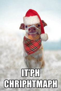 a dog wearing a santa hat and scarf with the caption do you want to build a phnoman?