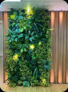 a green wall with plants and lights in the corner, on top of a wooden floor