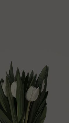 some white flowers are in a vase on a gray table top with dark grey background