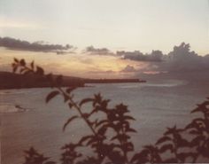 the sun is setting over the ocean with clouds in the sky and trees on the shore