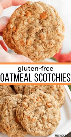 gluten - free oatmeal scotchies are the perfect breakfast treat