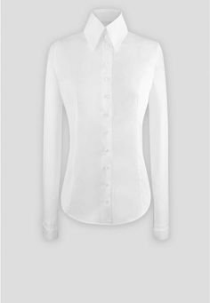 Pima Poplin Fitted T-Blouse with Collar : Armantine | Anne Fontaine Timeless Fitted Business Blouse, Timeless Fitted Business Tops, Fitted Timeless Long Sleeve Top, Classic Formal Stretch Tops, Timeless Fitted Long Sleeve Top, Timeless Fitted Tops For Work, Timeless Fitted Tops For Workwear, Timeless Slim Fit Office Tops, Timeless Slim Fit Tops For Office