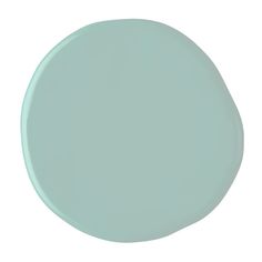 a round light blue plate on a white background