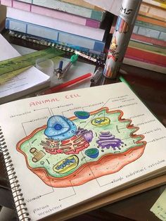 a notebook with an animal cell diagram on it