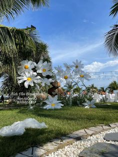 some white flowers are in the grass and trees