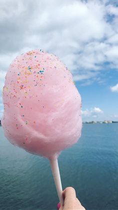 a pink cotton candy lollypop with sprinkles is held up to the camera