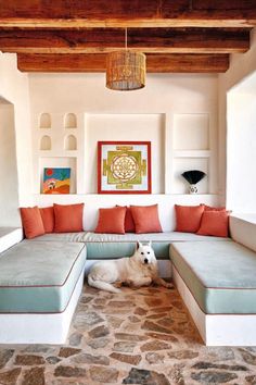 a white dog laying on top of a stone floor next to a living room filled with furniture