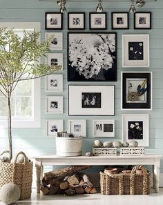 a living room with pictures on the wall and a potted plant next to it