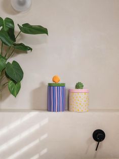 three colorful containers are sitting on a shelf next to a potted plant and wall light