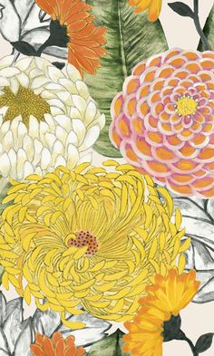 an illustration of flowers with leaves on the bottom and yellow, white, orange and pink petals