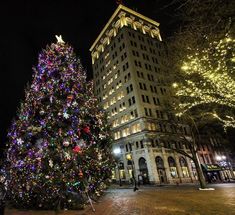 a large christmas tree in front of a tall building with lights on it's sides