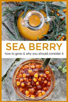 an orange jar filled with sea berry sauce