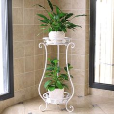 a potted plant sitting on top of a white stand next to a window in a bathroom