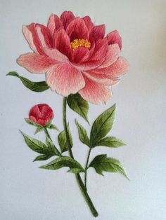 a drawing of a pink flower with green leaves