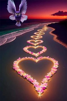 a long line of hearts with an owl flying over them on the beach at sunset