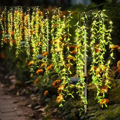 an array of lights hanging from the side of a building next to flowers and plants