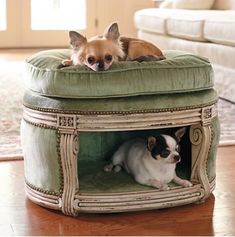 two small dogs laying on top of a green cushioned dog bed in a living room