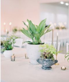 a table topped with plants and candles