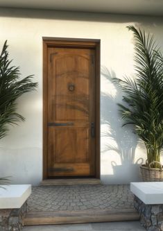 a wooden door sitting next to two potted plants