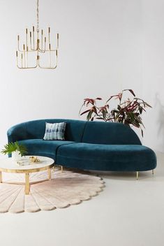 a living room with a blue couch, coffee table and potted plant in the corner